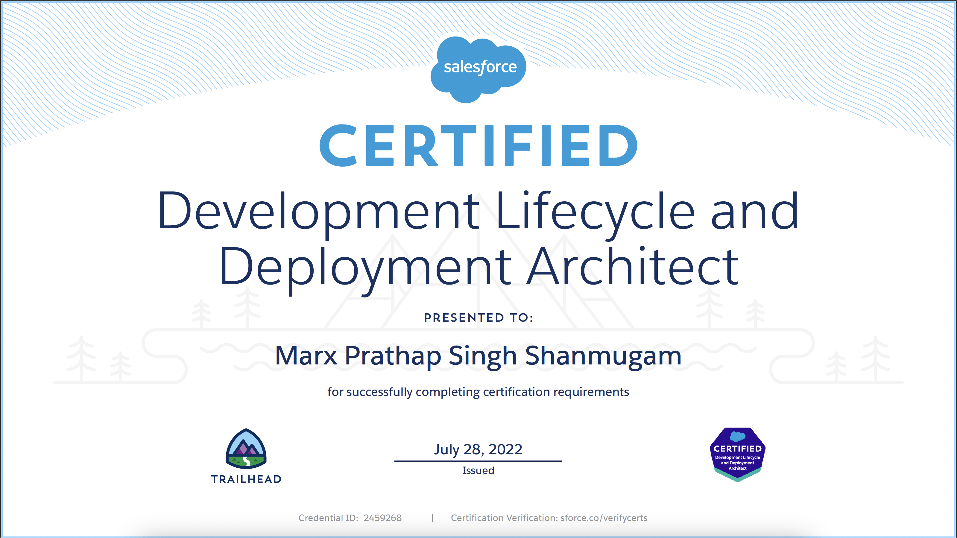Development Lifecycle and Deployment Architect