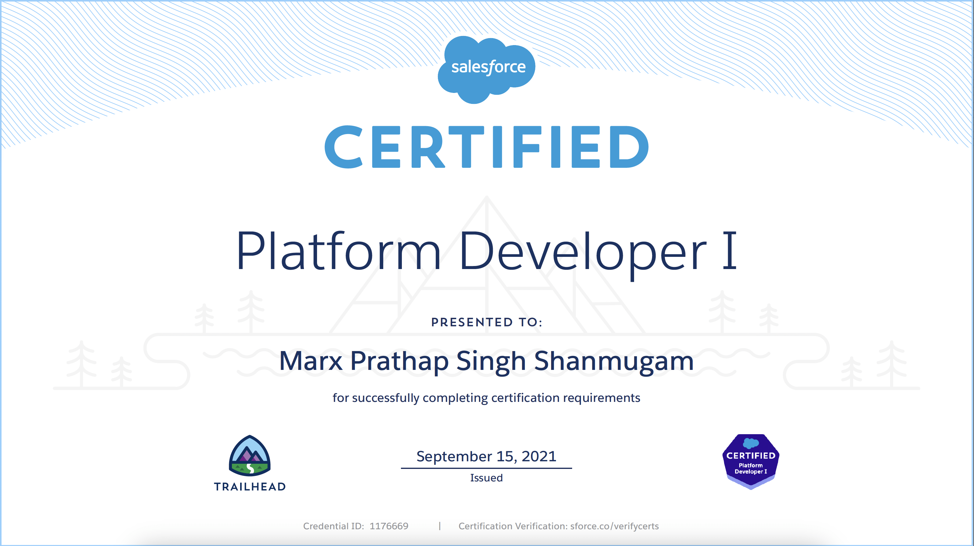 Platform Developer I