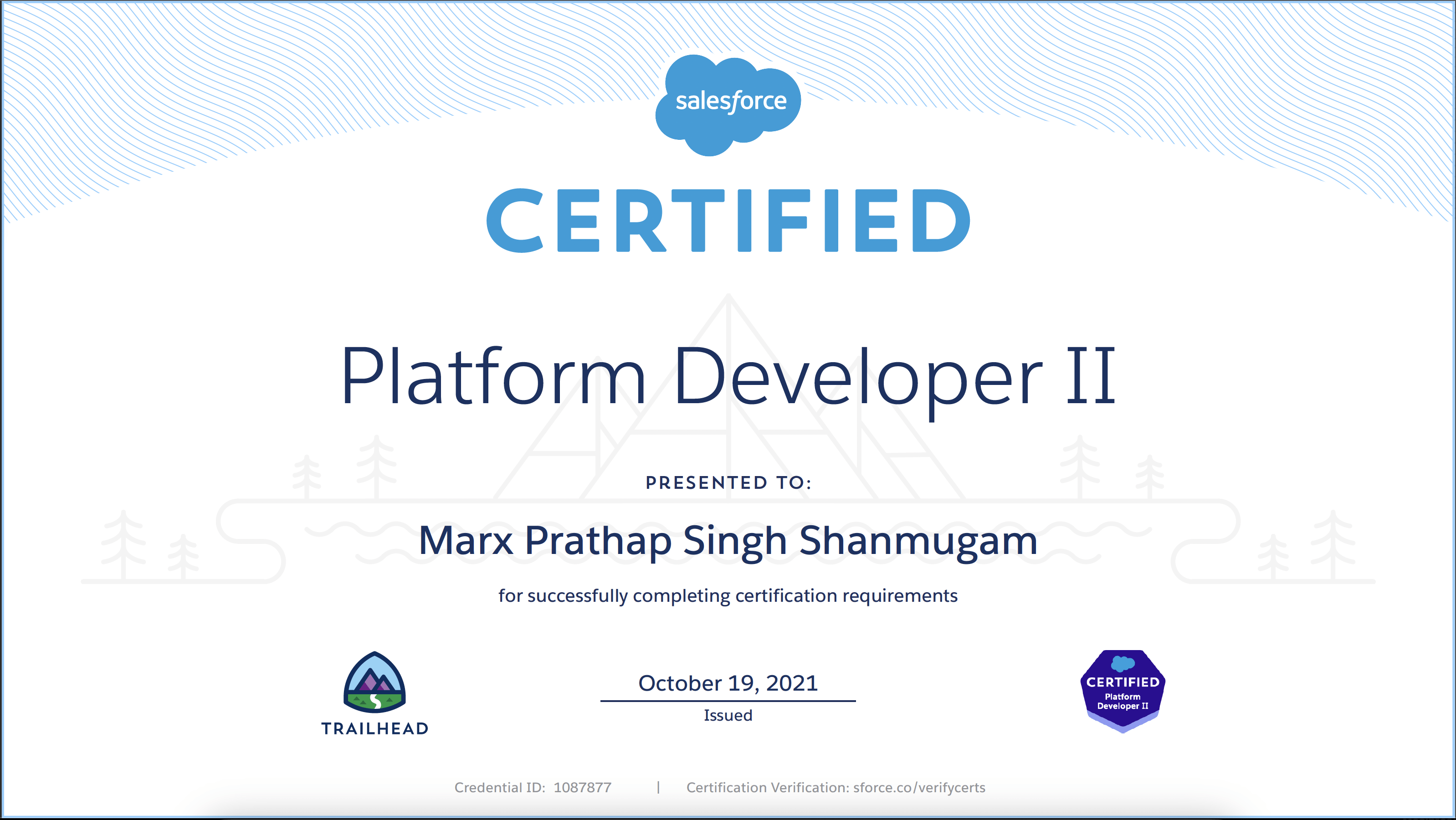 Platform Developer II