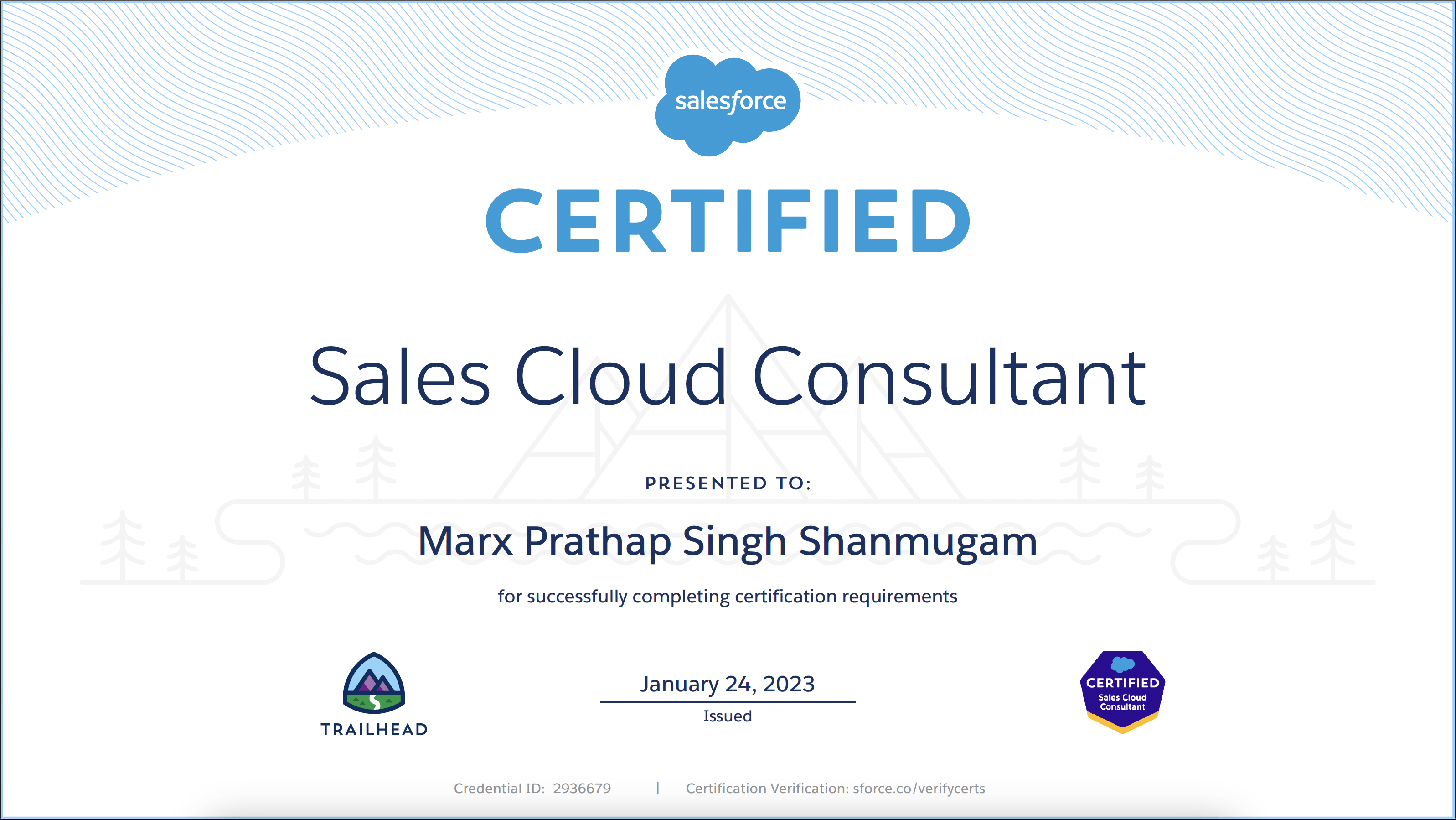 Sales Cloud Consultant