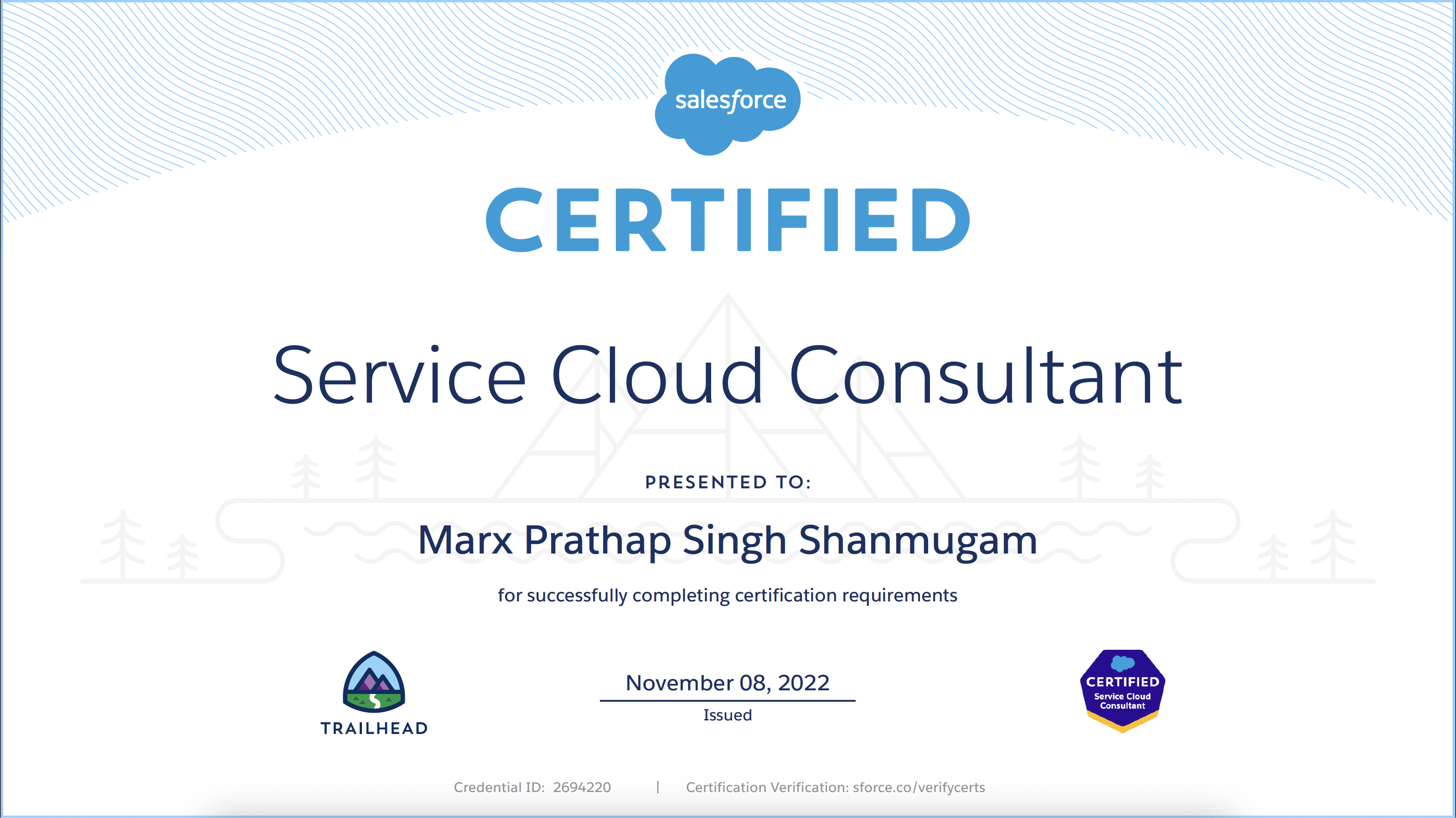 Service Cloud Consultant