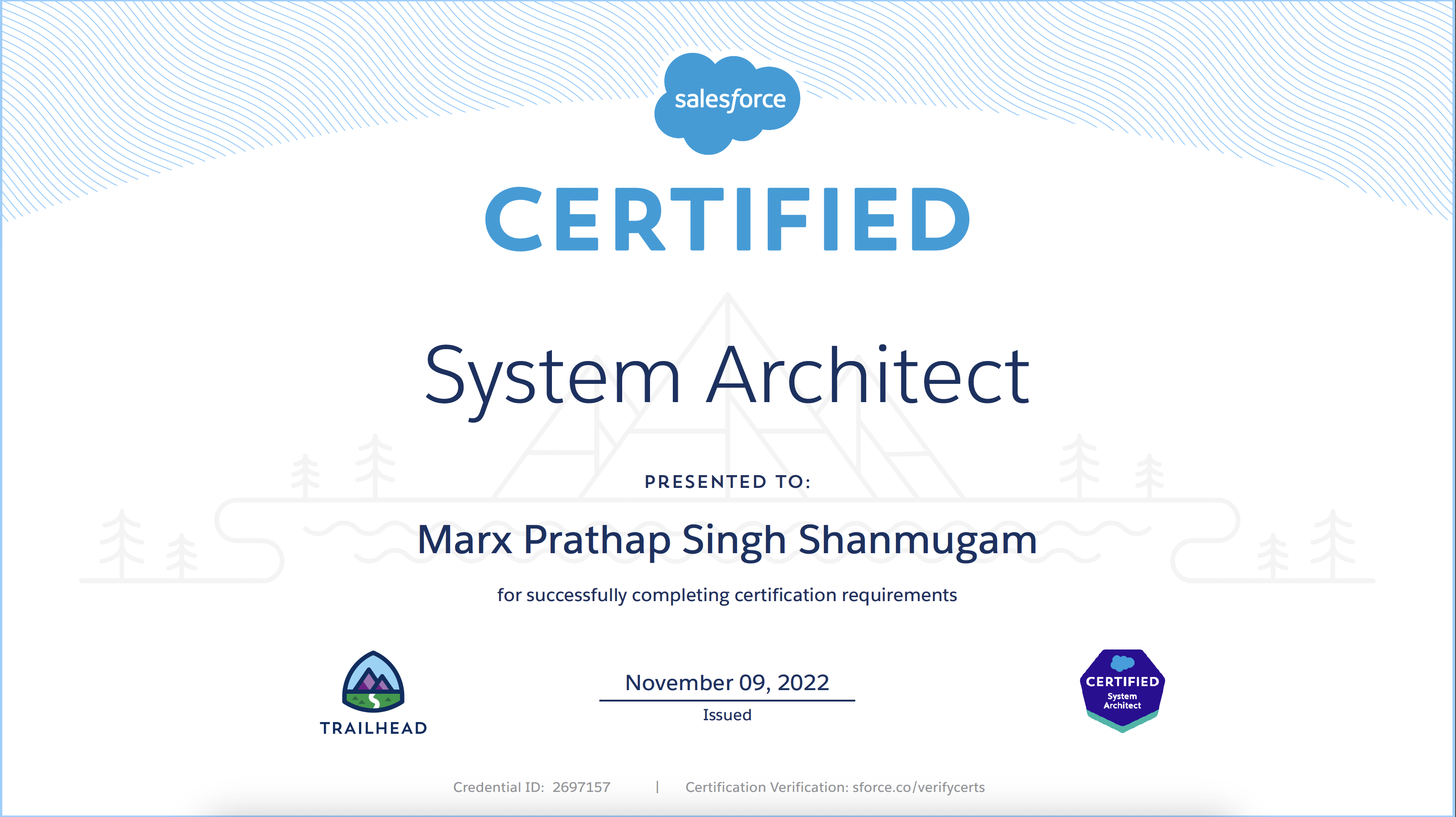 System Architect
